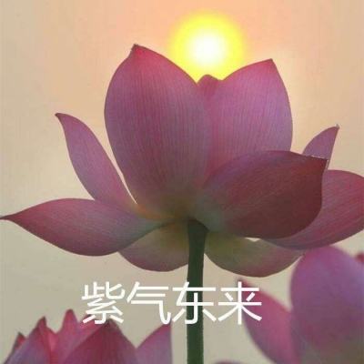 吞食三国杀手机版下载